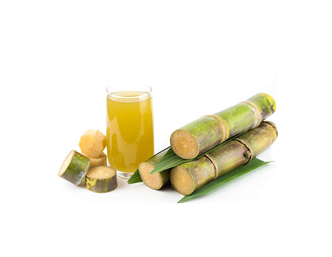 Sugarcane