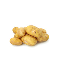 Yellow Zucchini