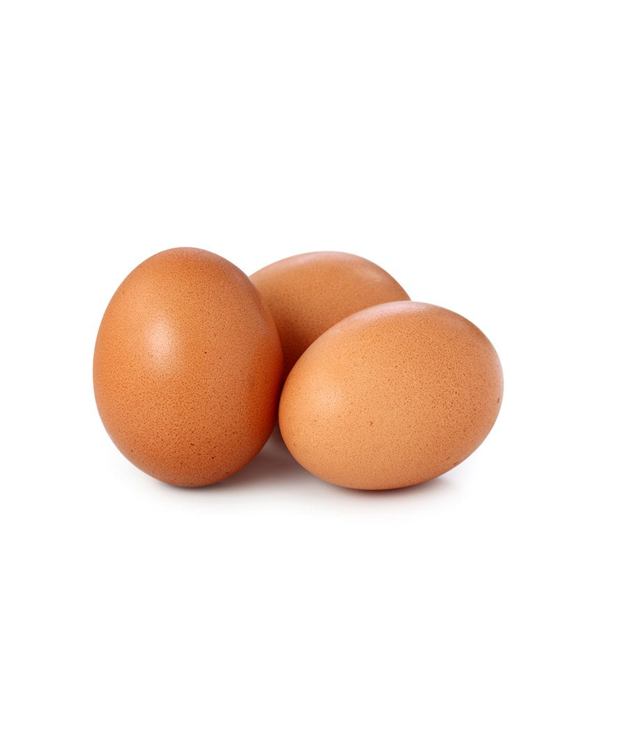 Turkey Eggs