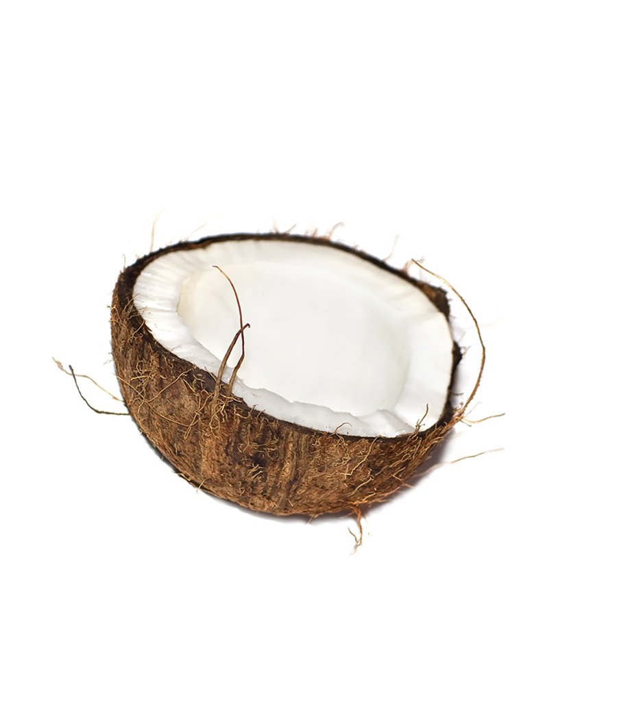 Coconut