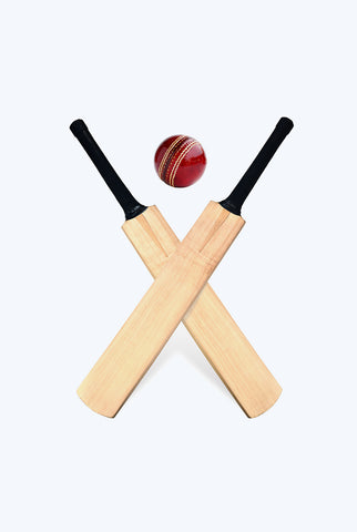 Cricket Bat