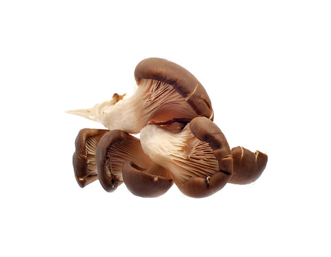 Cut Mushroom