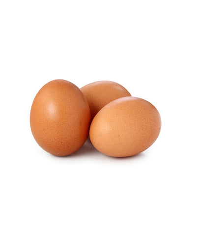 Turkey Eggs