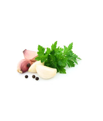 Coriander Leaves
