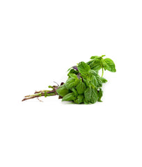 Coriander Leaves