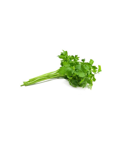 Coriander Leaves